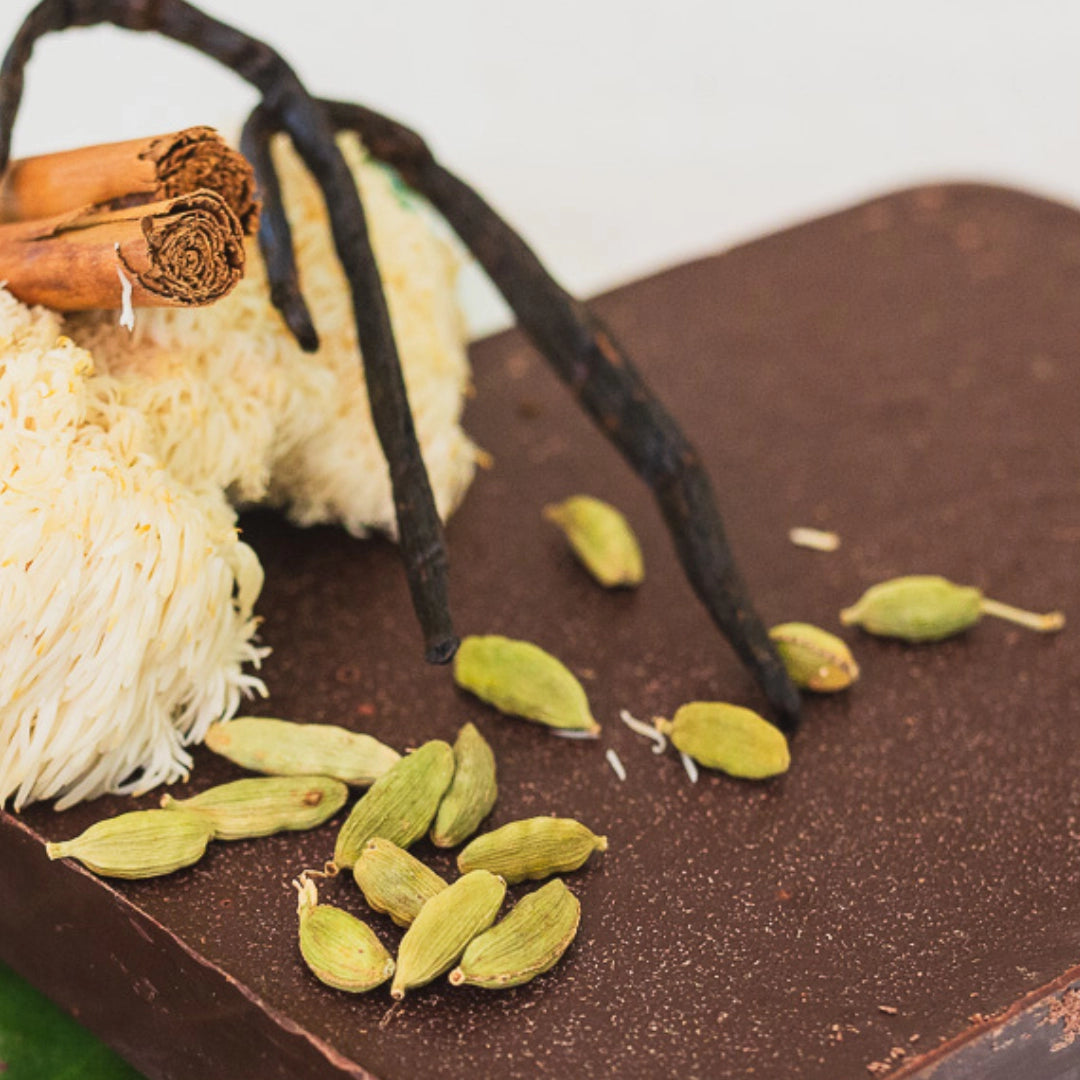 Herbal Cacao Lion's Mane & Cacao - Golden Focus 500gr