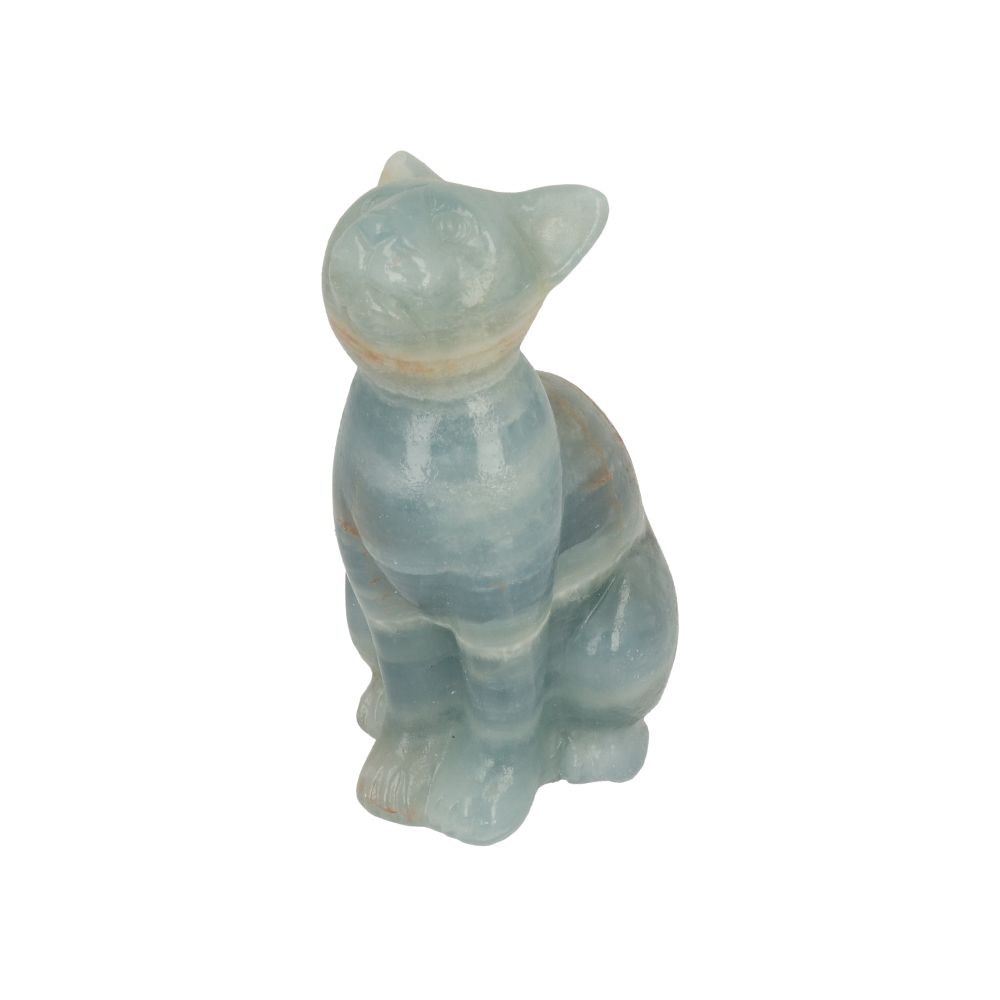 Blauwe onyx kat - 2