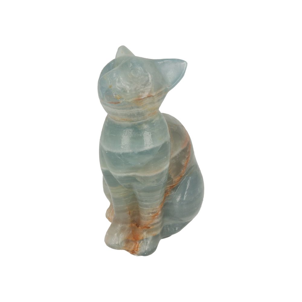 Blauwe onyx kat - 1