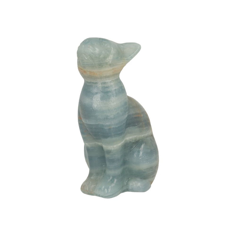 Blauwe onyx kat - 2