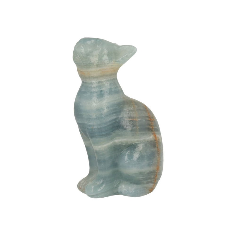 Blauwe onyx kat - 2