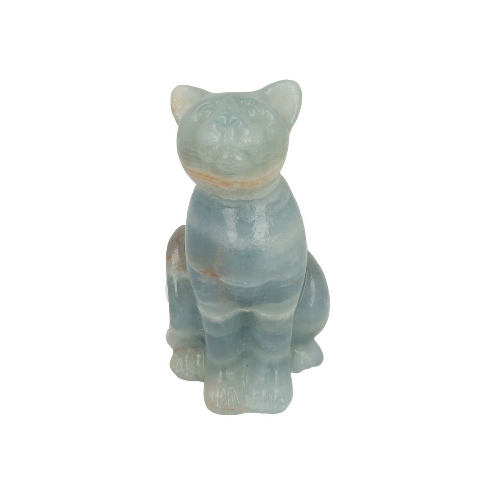 Blauwe onyx kat - 2