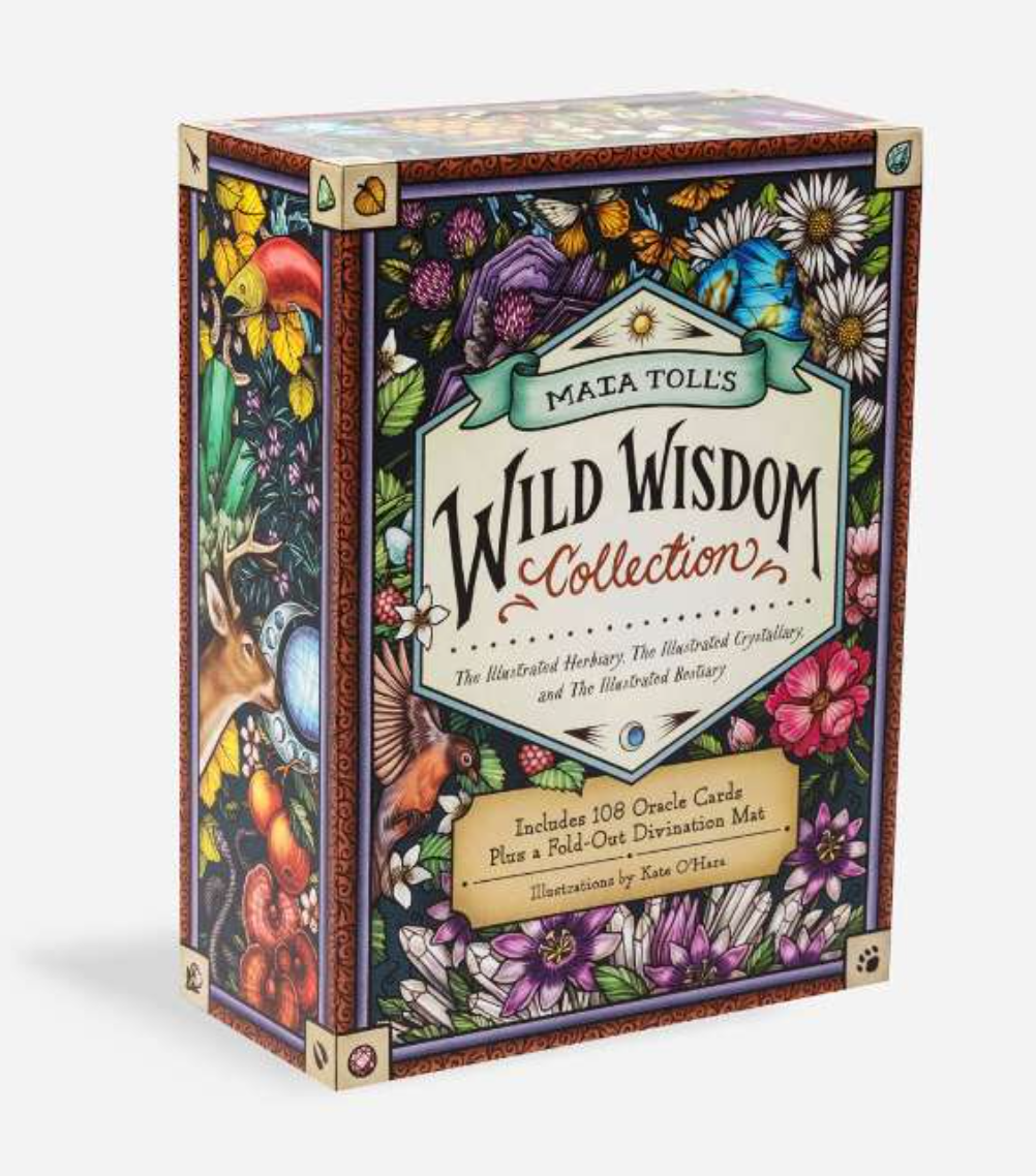 Maja Toll's wild wisdom collection