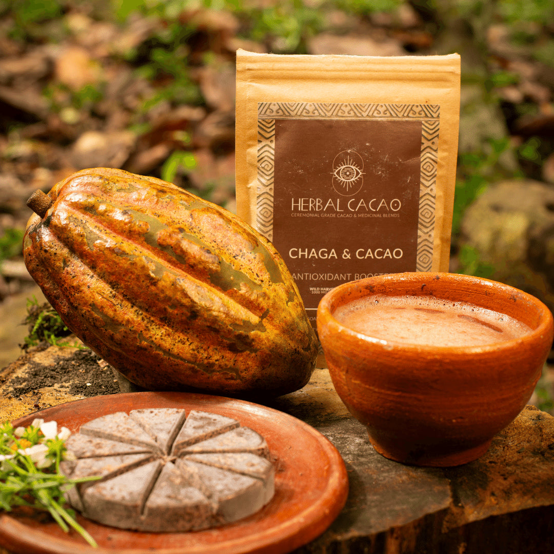 Herbal Cacao Chaga & Cacao - Divine Strength