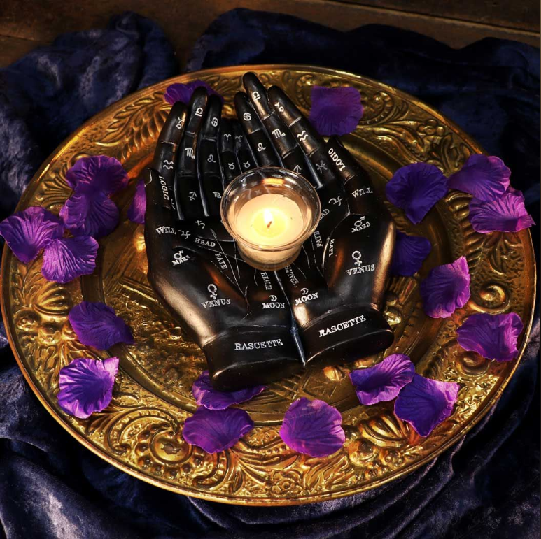 Handpalmgids - Zwart