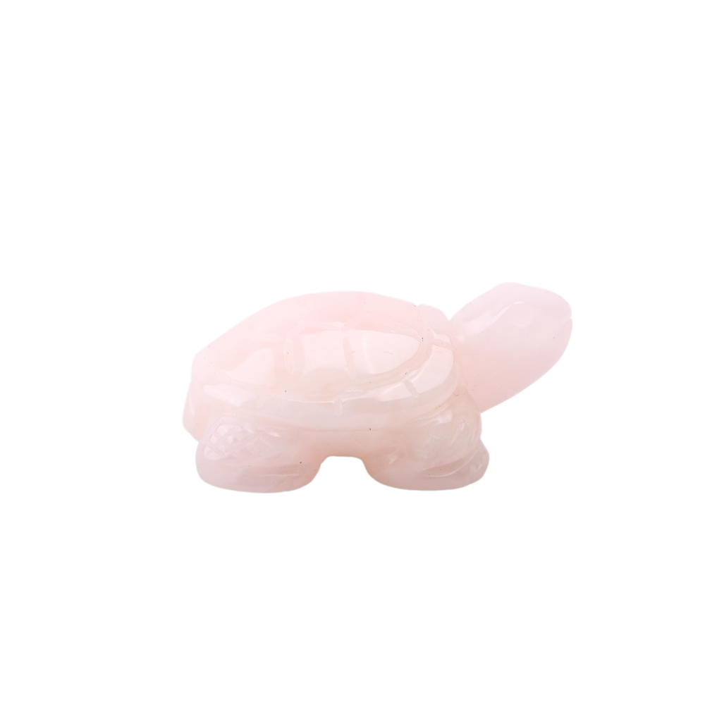 Rozenkwarts Schildpad