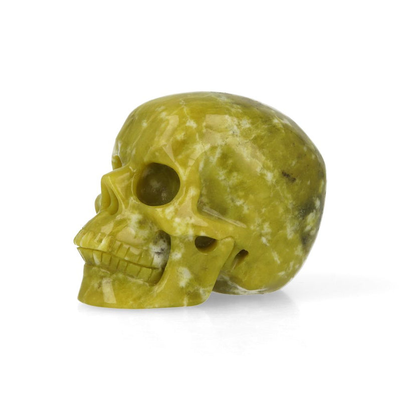 Serpentijn Skull