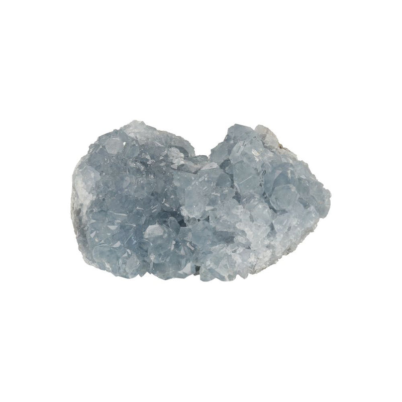 Celestien Ruw - 21