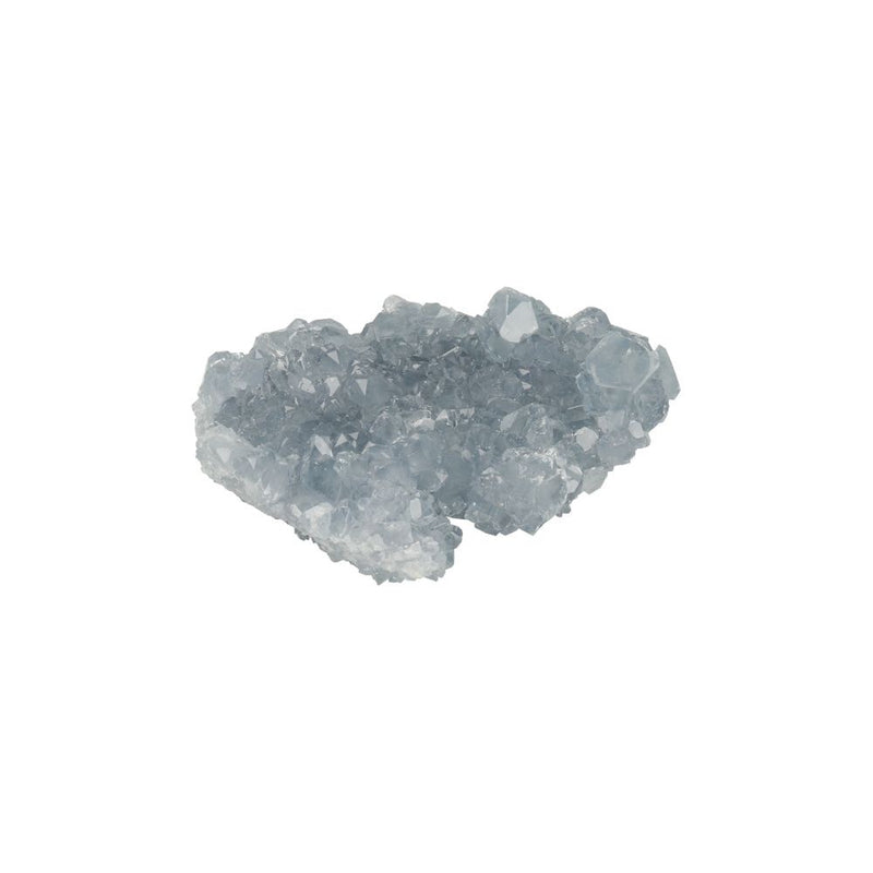 Celestien Ruw - 22