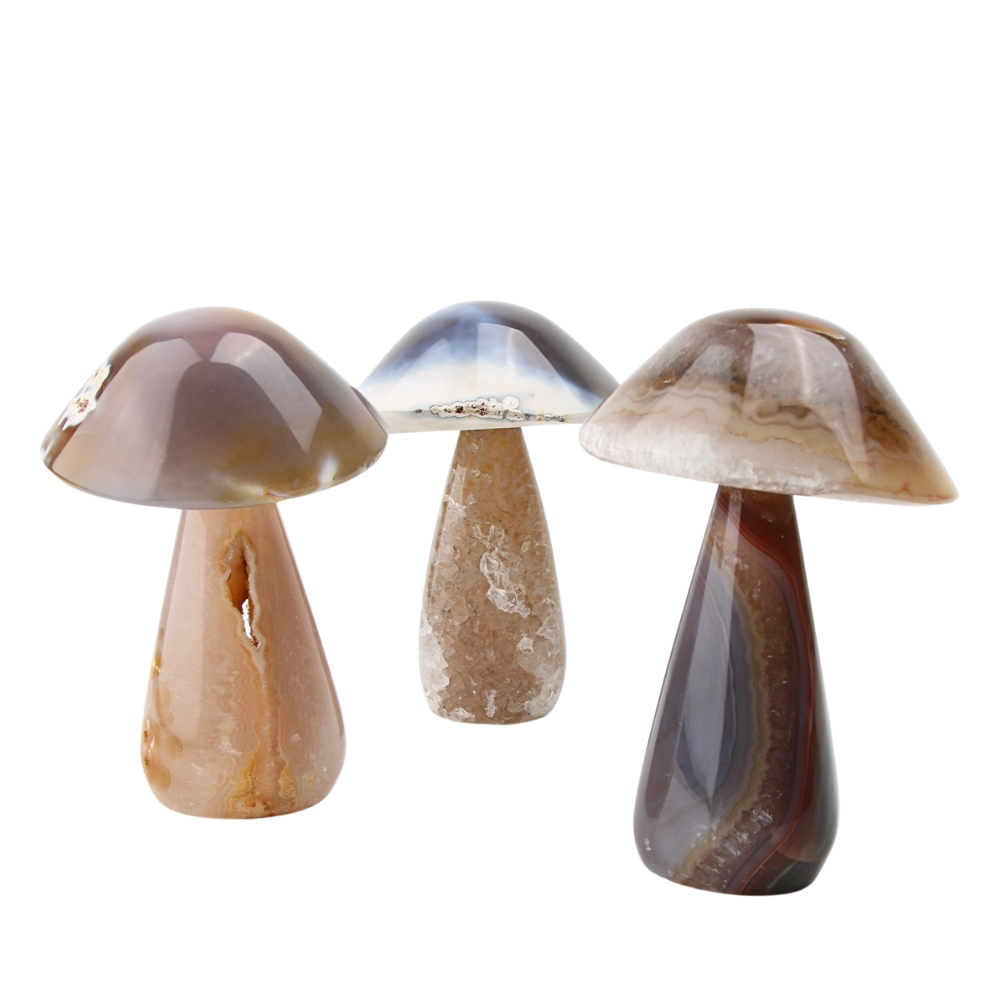 Agaat paddenstoel - 3