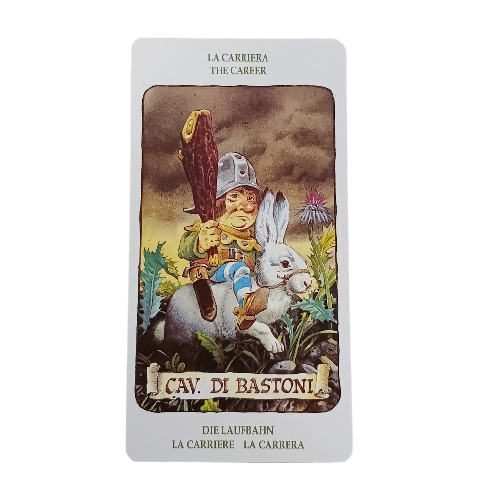 Tarot of the Gnomes (tweedehands)