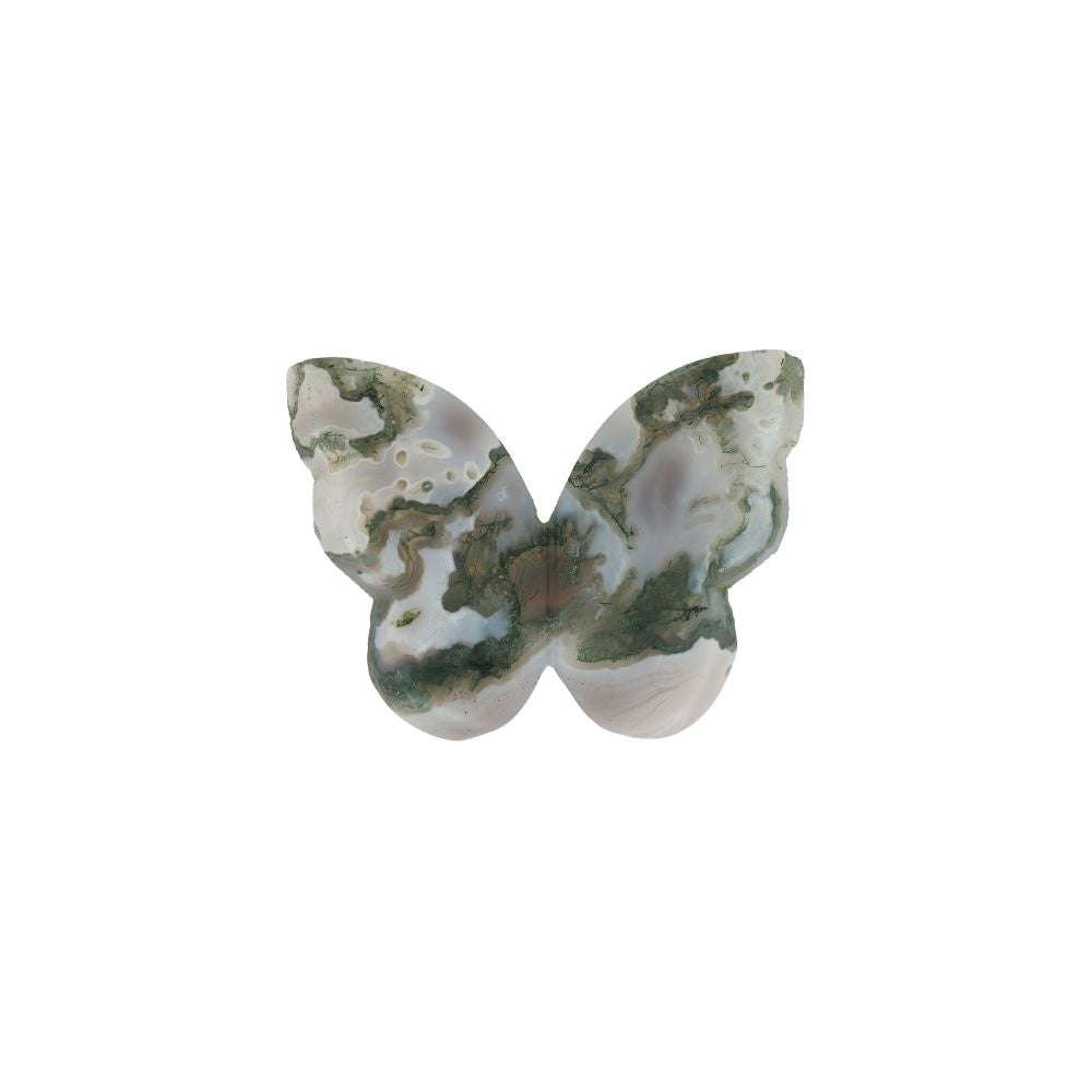 Agaat Mos Vlinder - 1