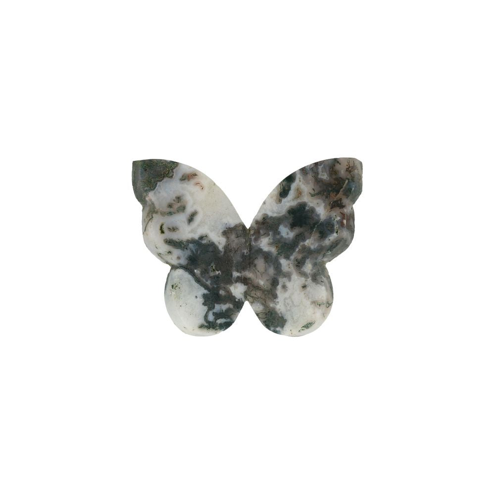 Agaat Mos Vlinder - 2