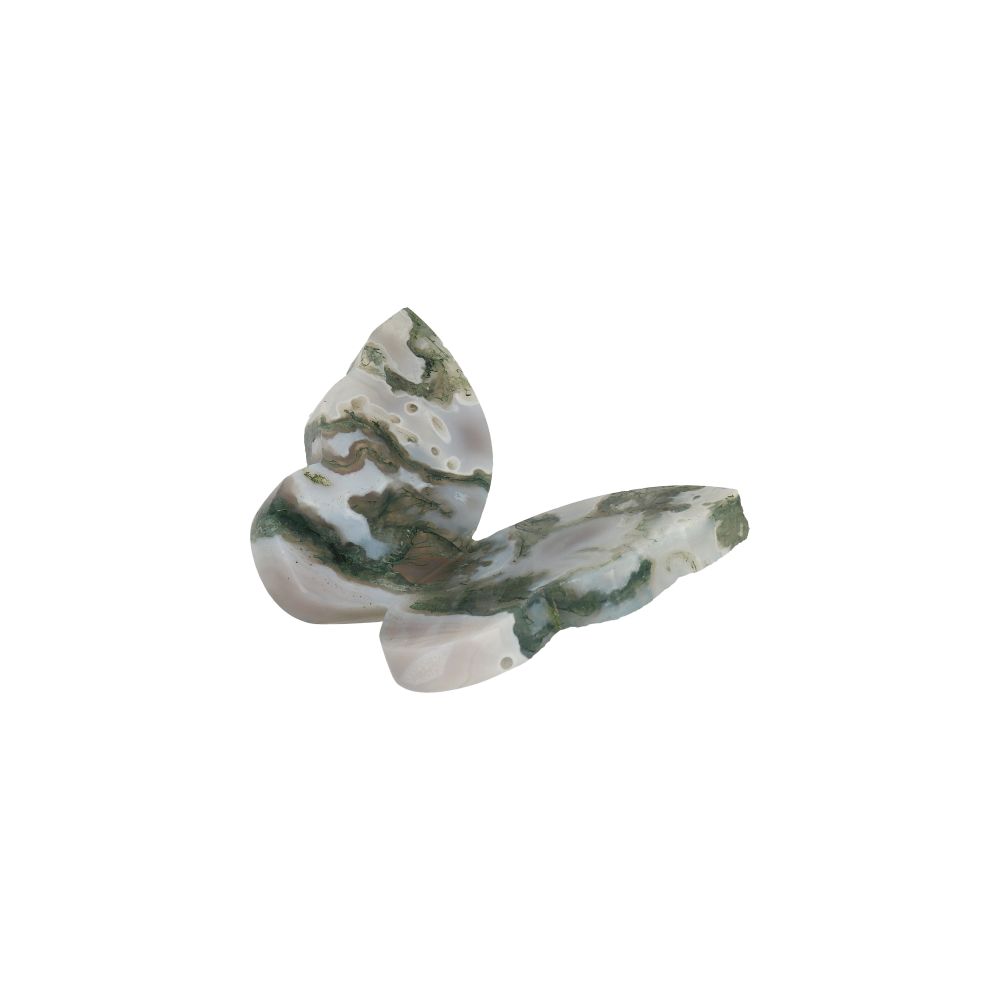Agaat Mos Vlinder - 1