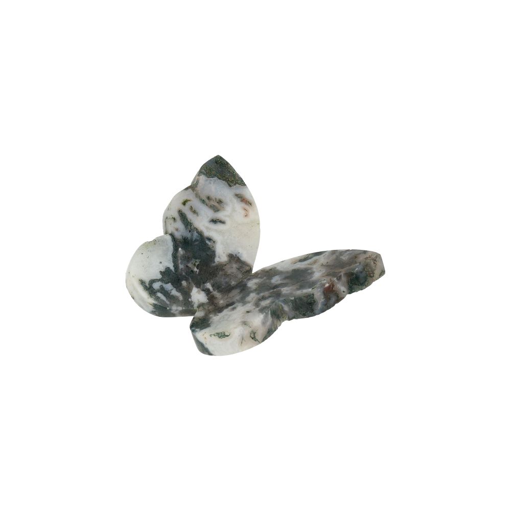 Agaat Mos Vlinder - 2