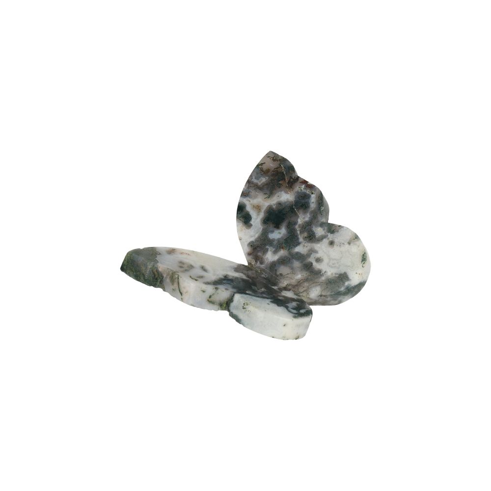 Agaat Mos Vlinder - 2