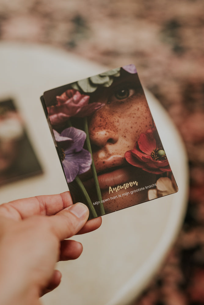 Wilde wijsheid book & cards - The Spirit Junkies