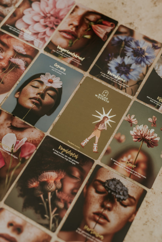 Wilde wijsheid book & cards - The Spirit Junkies
