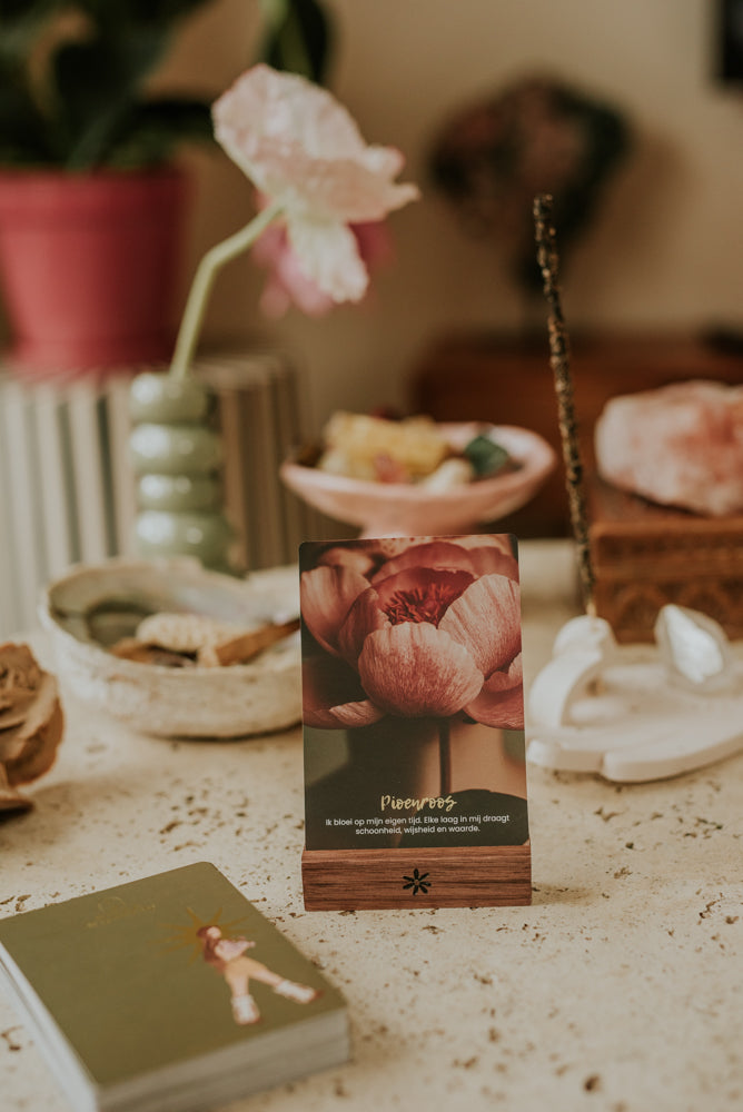 Wilde wijsheid book & cards - The Spirit Junkies