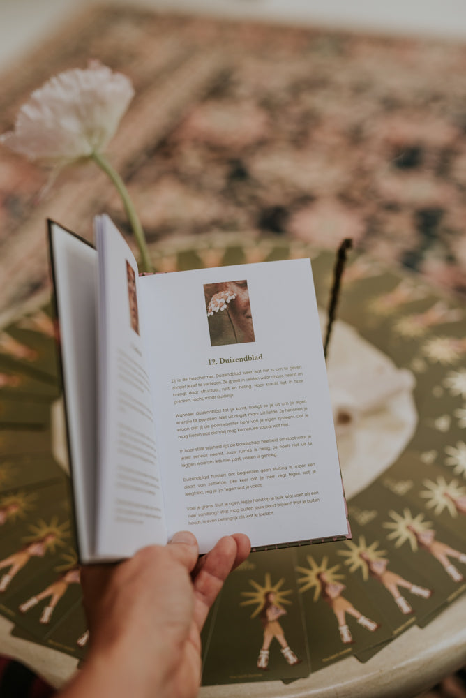Wilde wijsheid book & cards - The Spirit Junkies