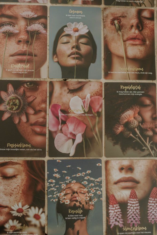 Wilde wijsheid book & cards - The Spirit Junkies