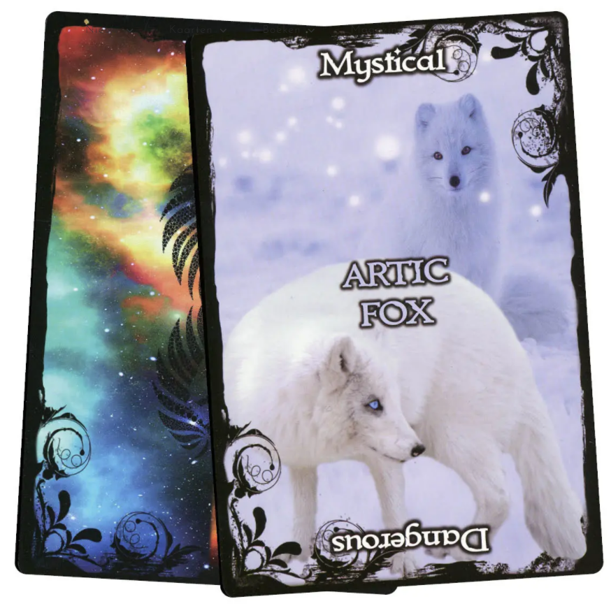 Animal Guidance & Aspects Oracle Cards