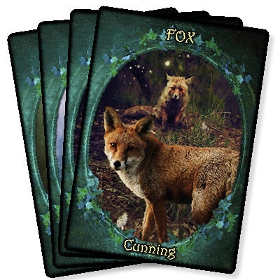 Witches' Familiars Oracle Cards