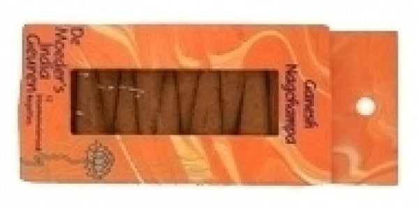 Ganesh Nagchampa 12 kegeltjes