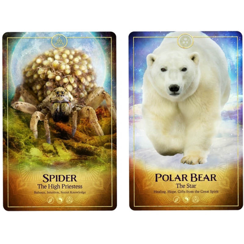 The Ark Animal Tarot & Oracle Cards Deck (2nd Edition)