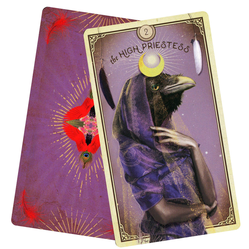 The Tarot of Curious Creatures