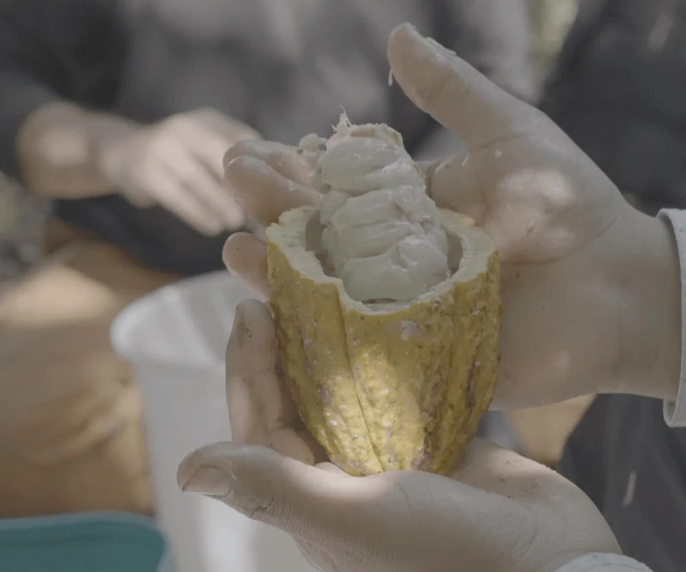 Pure Kakaw - Cusco: 100% cacao uit Peru