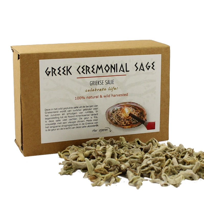 Griekse Salie (Greek ceremonial Sage)