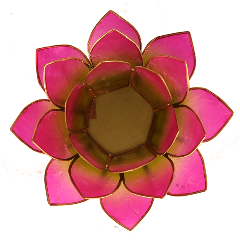 Lotus sfeerlicht groen/roze 2-kleurig