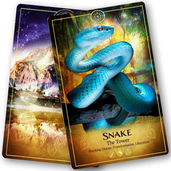 The Ark Animal Tarot & Oracle Cards Deck (2nd Edition)