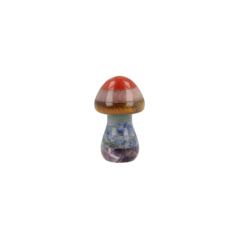 Chakra Paddenstoel Klein
