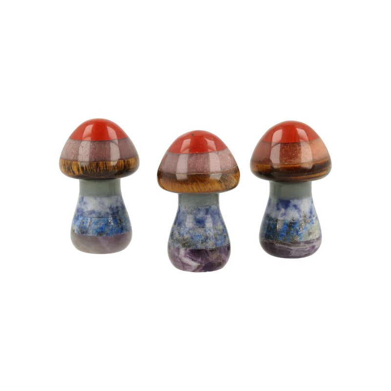 Chakra Paddenstoel Klein