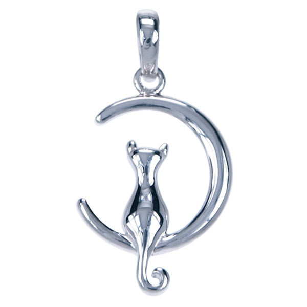 Symbool Hanger Maanfase met Kat