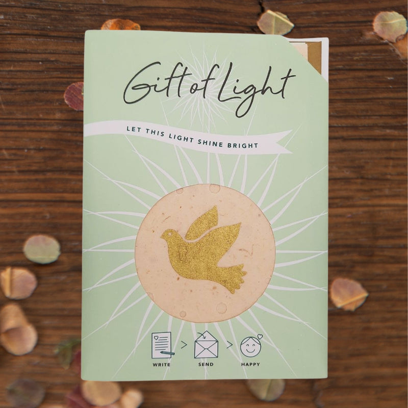 Gift of Light