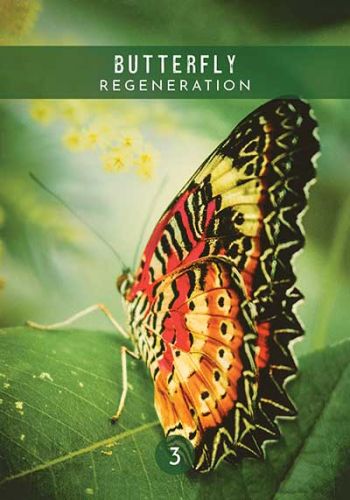 Messages from the spirits of nature Oracle