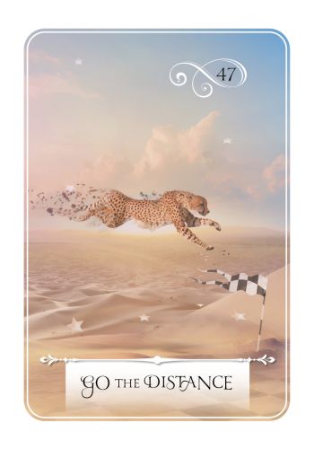 Wisdom of the Oracle Pocket Divination Cards